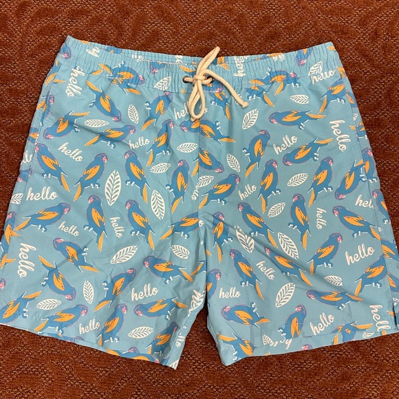 Strong Boalt Men’s Swimming Trunks L - Picture 1 of 6